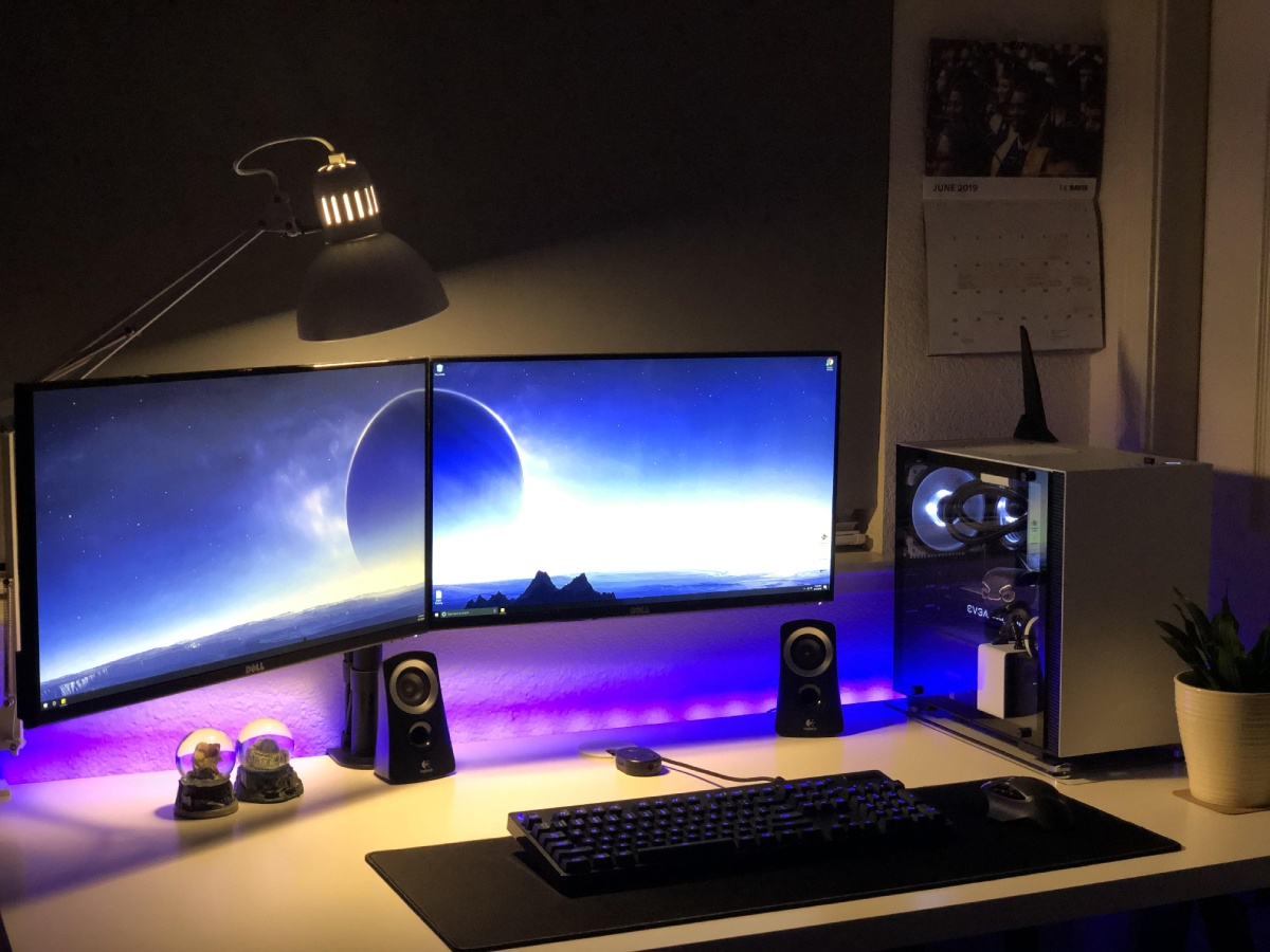 A modern dual-monitor setup with a gaming PC, illuminated speakers, a lamp, and a potted plant on a stylish desk.